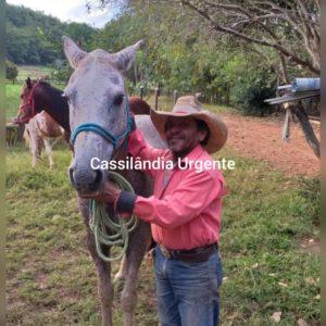 Em Cassilândia, "Zé Rôia" morre durante lida com gado Em Cassilândia,