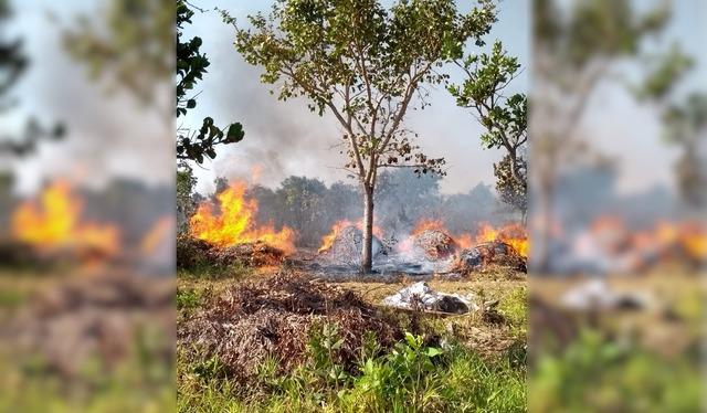 Incêndio destrói quatro hectares de área de vegetação nas proximidades do Aeroporto Municipal de Três Lagoas Incêndio destrói quatro hectares de área de vegetação nas proximidades do Aeroporto Municipal de Três Lagoas