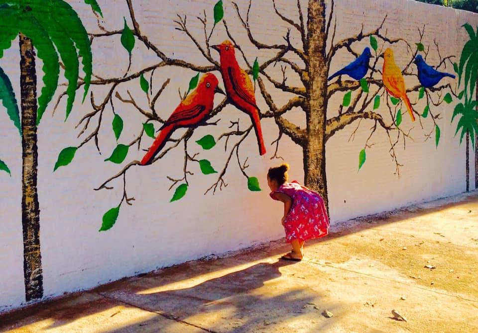 Pinturas da fauna e flora do Estado, retratadas em muro, encantam os três-lagoenses