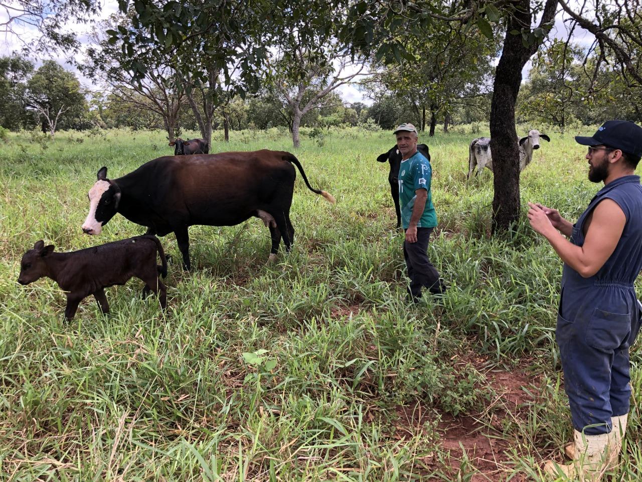 Parceria entre Suzano e Sebrae promove desenvolvimento da produção de leite na agricultura familiar