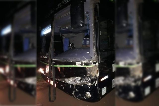 Excursão para o Parque dos Laranjais é interrompida após acidente com cavalo 