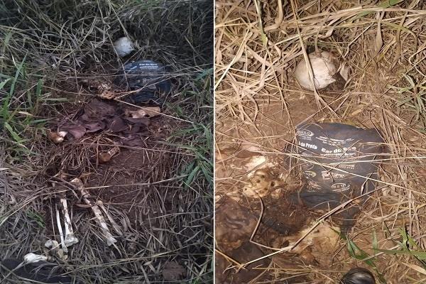 Ossada humana é encontrada em Água Clara-MS