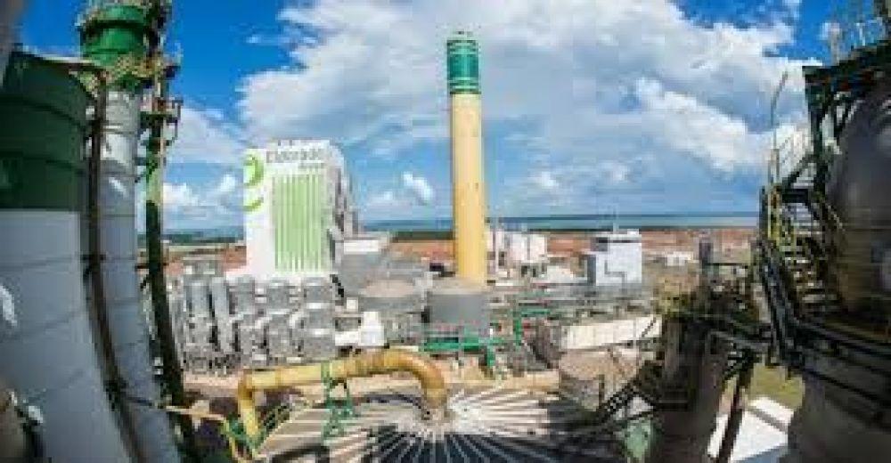 Eldorado Brasil busca profissionais para trabalhar na empresa; entrevistas começam na quarta-feira no Senai 