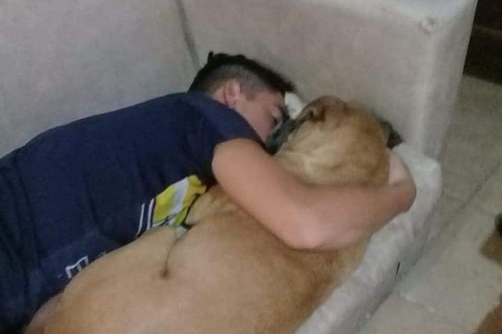 Cachorro morre nos braços do dono com medo de fogos de artifício