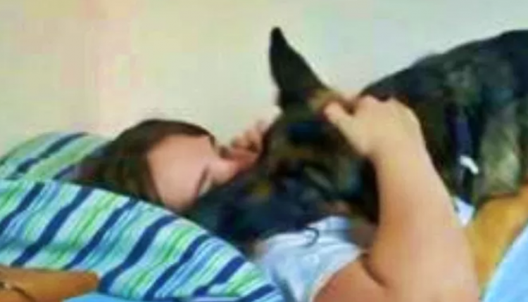 Homem flagra mulher na cama lhe traindo com cachorro Homem flagra mulher na cama lhe traindo com cachorro