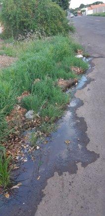 Moradores denunciam terreno baldio e altos índices de dengue no bairro Jd. Primaveril