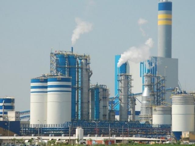 Suzano anuncia sua 4ª usina de celulose para produzir até 2,2 milhões de toneladas de celulose