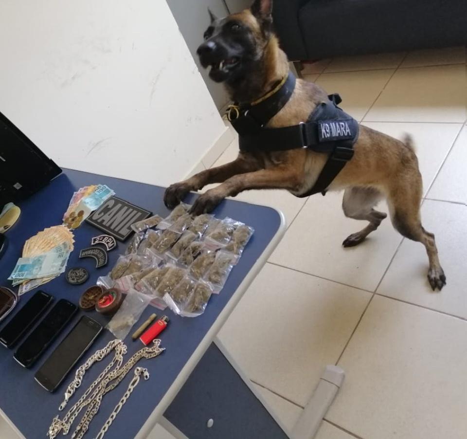 Drogas são apreendidas na 