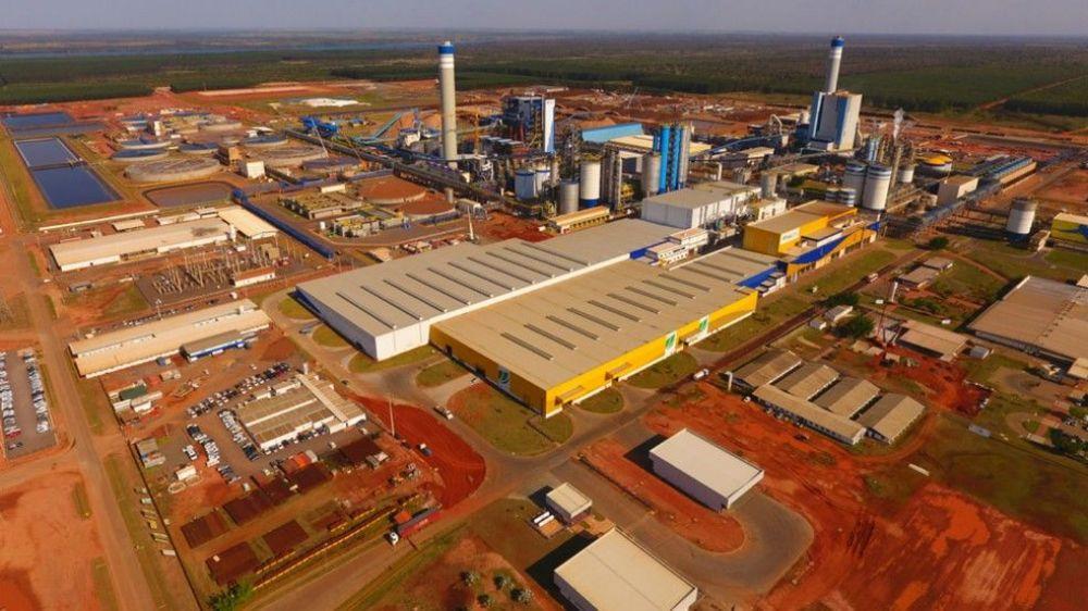 Exportações de papel e celulose continuam no topo em MS Exportações de papel e celulose continuam no topo em MS