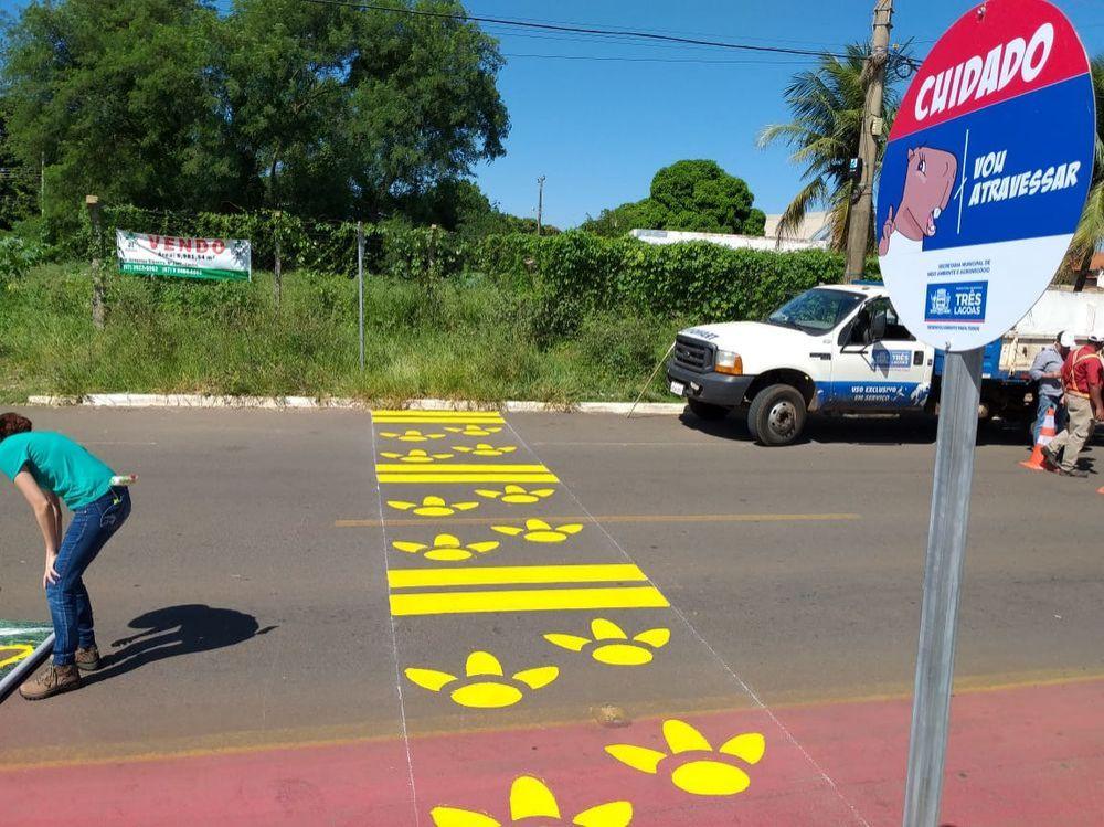 Capi-faixas são implantadas para travessias de capivaras na orla da Lagoa Maior 