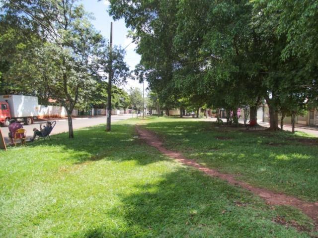 Ataque de pitbull em praça foi legítima defesa, diz dono do animal Ataque de pitbull em praça foi legítima defesa, diz dono do animal