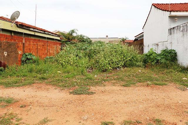 Prefeitura de Três Lagoas realiza fiscalização e limpeza de terrenos baldios Prefeitura de Três Lagoas realiza fiscalização e limpeza de terrenos baldios