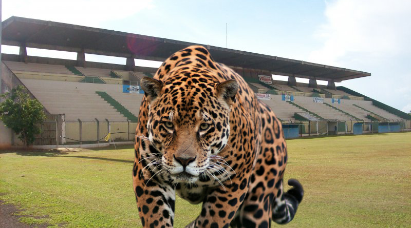 Três Lagoas Sport Club já é realidade na cidade