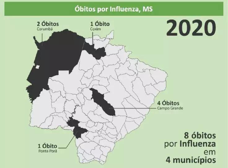 Bebê de 8 meses é uma das mortes por H1N1 no Estado