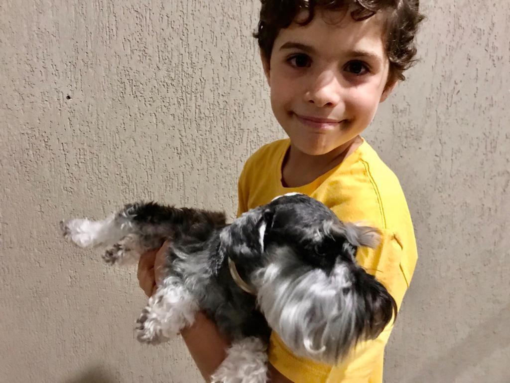 No dia do aniversário, criança reencontra cachorrinha que estava desaparecida No dia do aniversário, criança reencontra cachorrinha que estava desaparecida