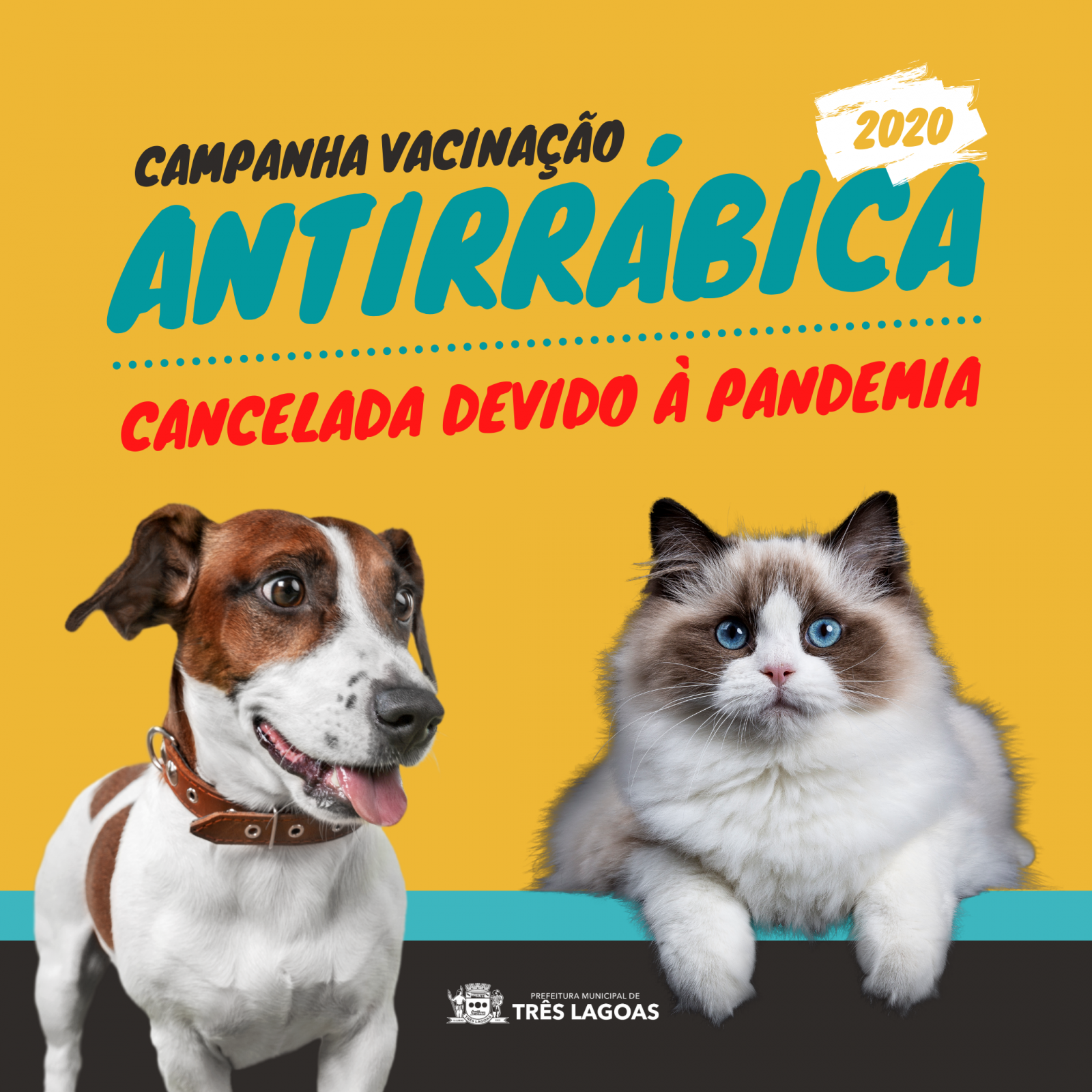 Campanha de Vacinação Antirrábica é suspensa devido ao aumento de casos positivos de COVID-19 Campanha de Vacinação Antirrábica é suspensa devido ao aumento de casos positivos de COVID-19