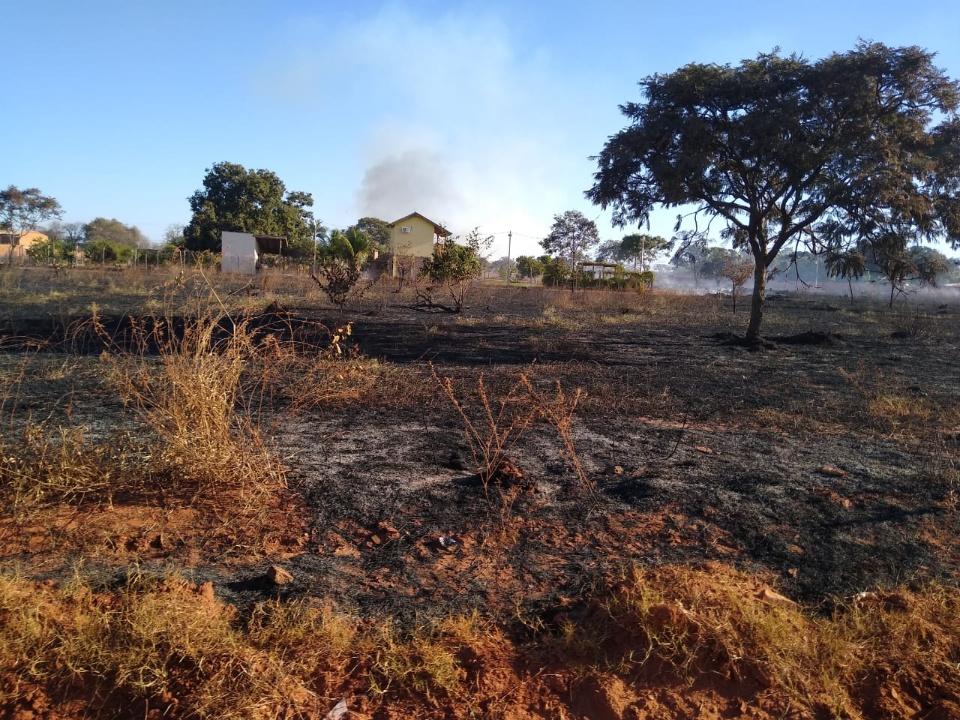PMA de Três Lagoas autua dois infratores em R$ 10 mil por incêndio e transporte de motosserras irregulares