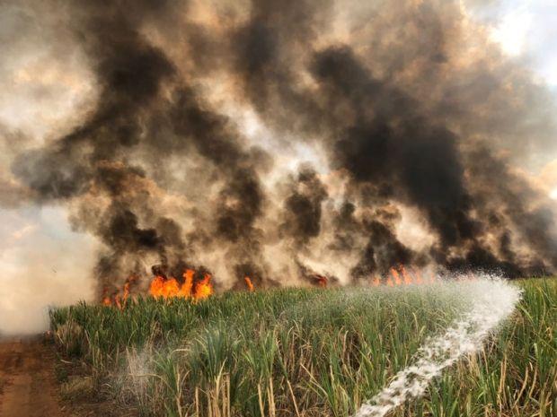 Em Valparaíso, corpo de comerciante é encontrado após incêndio em canavial Em Valparaíso, corpo de comerciante é encontrado após incêndio em canavial