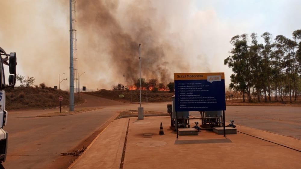 Incêndio de grandes proporções é registrado na região da Suzano, às margens da BR-158