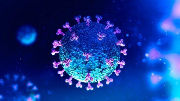 Em 24 horas, mais 30 casos foram confirmados como positivos para Covid-19 em Três Lagoas Em 24 horas, mais 30 casos foram confirmados como positivos para Covid-19 em Três Lagoas