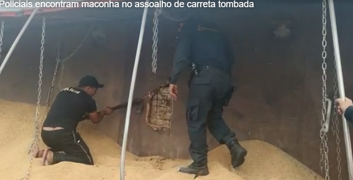 Carreta tomba e policiais rodoviários de Três Lagoas descobrem 600 quilos de maconha escondidas em assoalho  