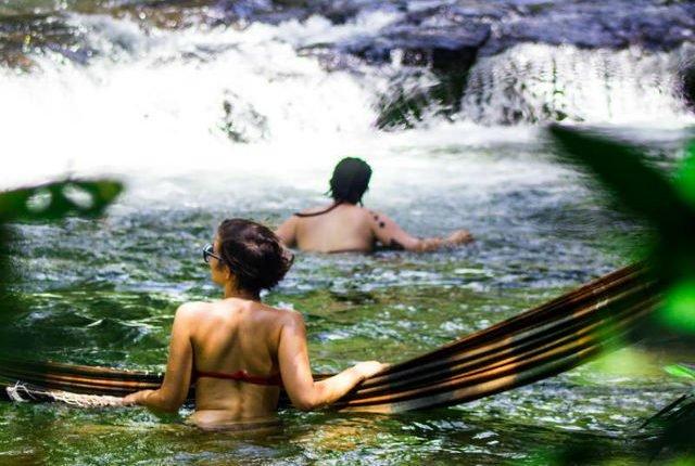 Fique atento: Queimadas elevam riscos de picadas de cobras em rios e cachoeiras de MS