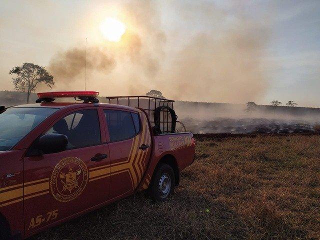 Registros de incêndios florestais preocupam durante o final de semana em Três Lagoas