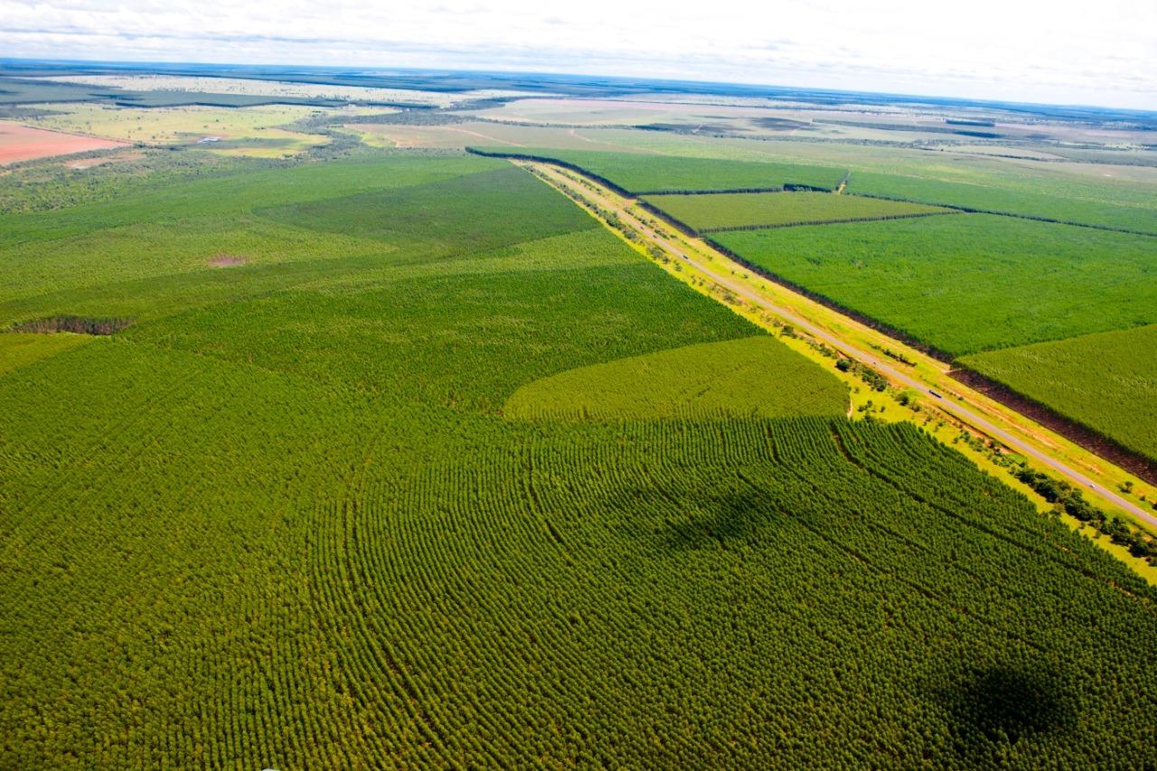 Suzano irá qualificar três novas turmas de operadores florestais em Três Lagoas, Brasilândia e Água Clara
