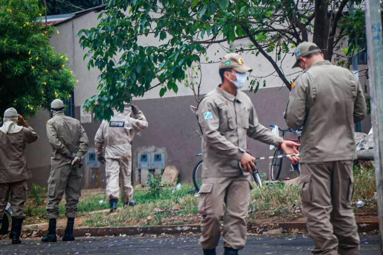 Após morte de dono de oficina que foi atacado por abelhas, bombeiros dão dicas para evitar ataques 