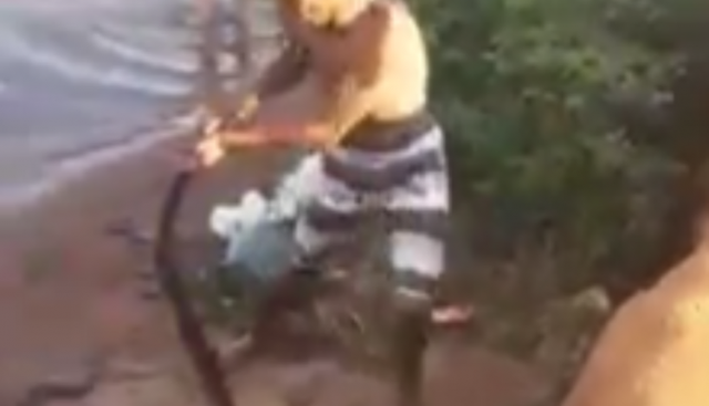 Jovem que aparece puxando sucuri na 