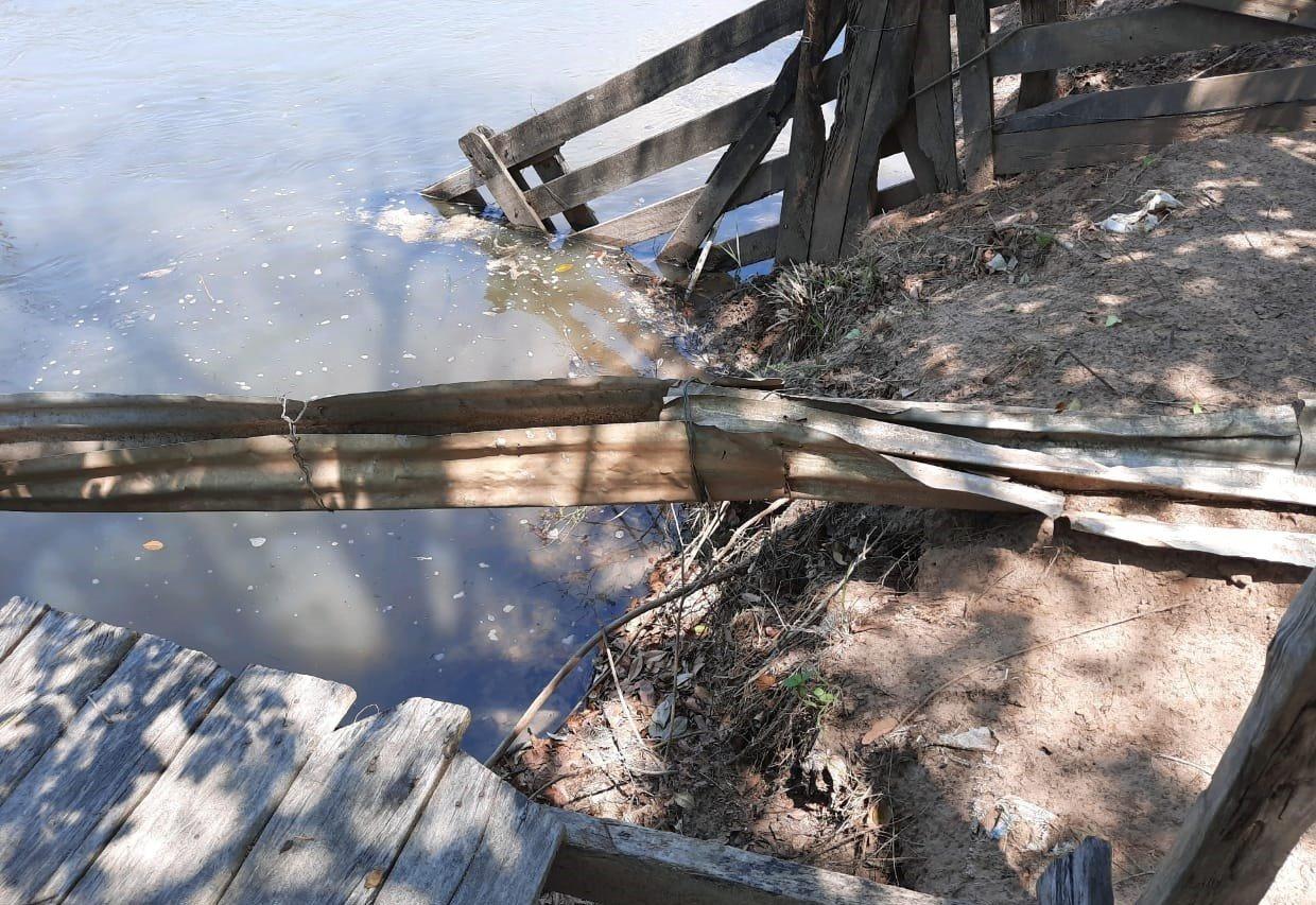 PMA fecha suinocultura por degradação de área protegida em Três Lagoas