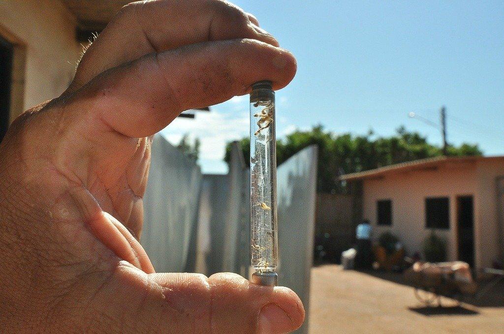Saúde de Três Lagoas notifica 15 novos casos suspeitos de Dengue nesta semana Saúde de Três Lagoas notifica 15 novos casos suspeitos de Dengue nesta semana