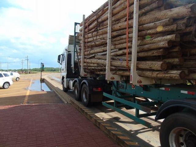 Justiça do Trabalho reconhece jornada exaustiva de motoristas da Eldorado