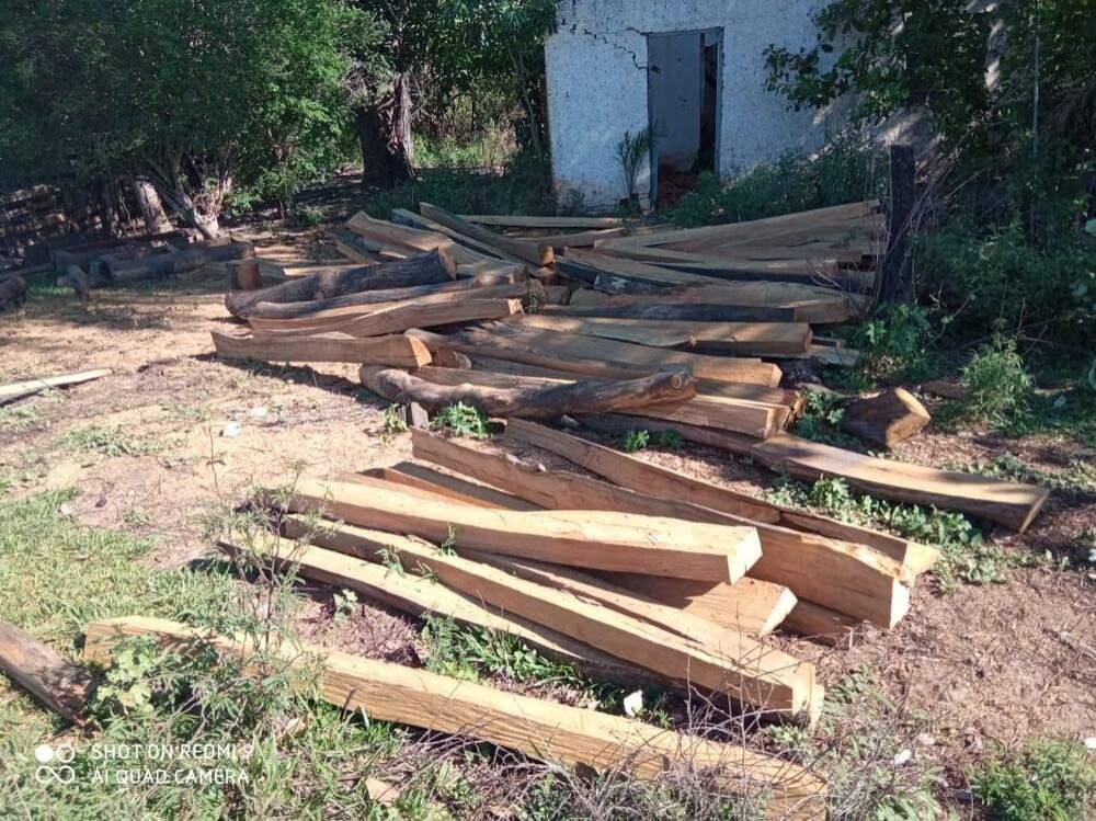 Dono de bar é multado em R$ 4.800 por armazenamento e exploração de madeira