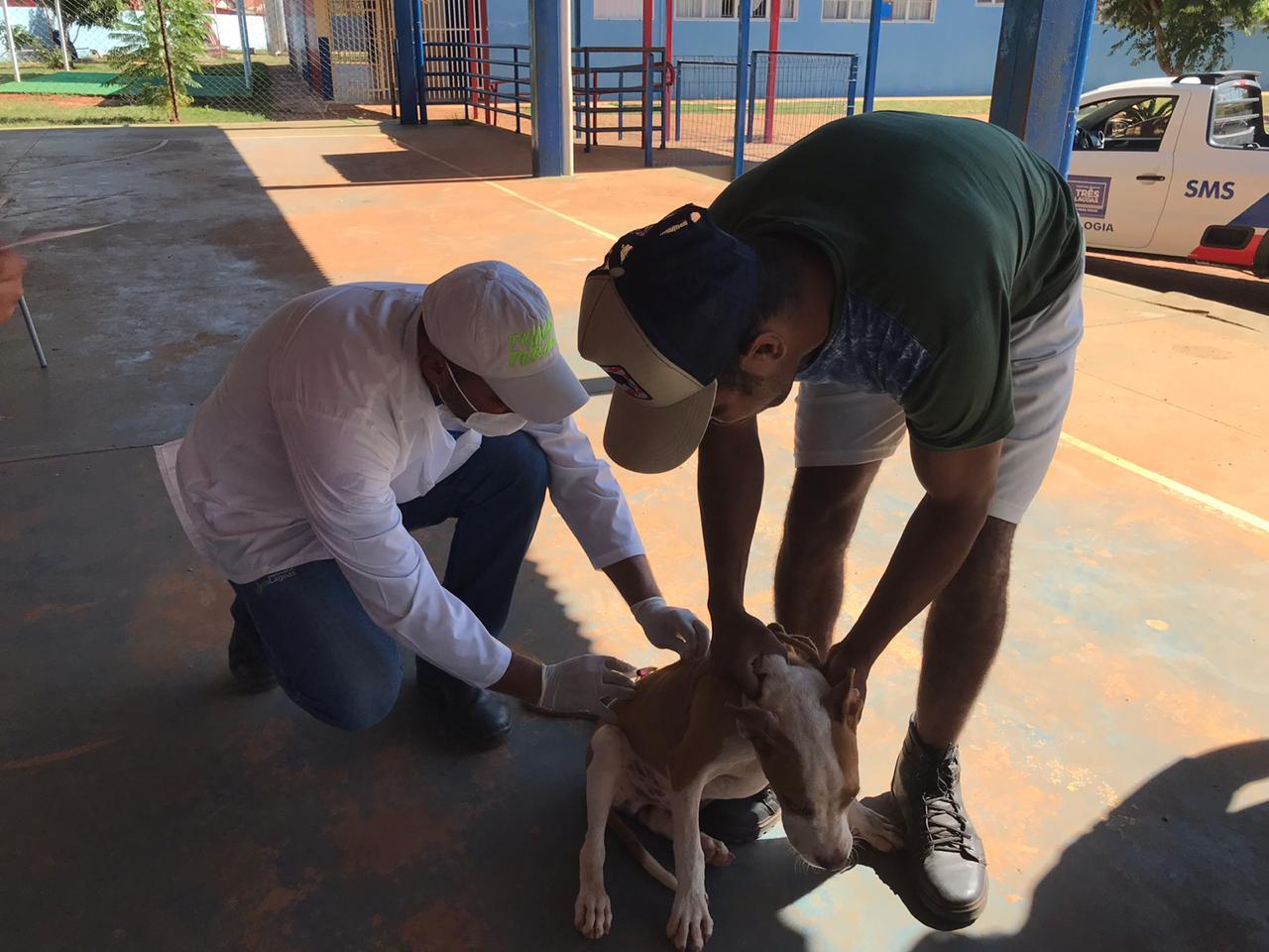 Em dois dias de vacinação, equipes do CCZ vacinaram 1.686 cães e 415 gatos Em dois dias de vacinação, equipes do CCZ vacinaram 1.686 cães e 415 gatos