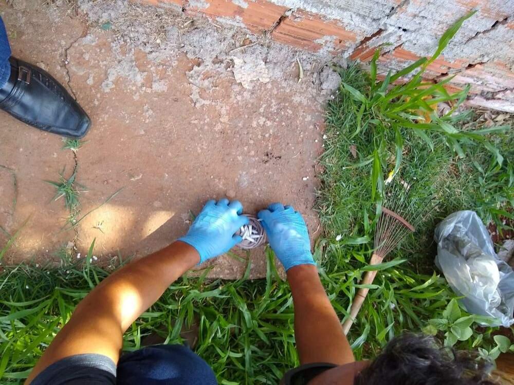Policiais do SIG fecham boca de fumo em condomínio de Três Lagoas Policiais do SIG fecham boca de fumo em condomínio de Três Lagoas