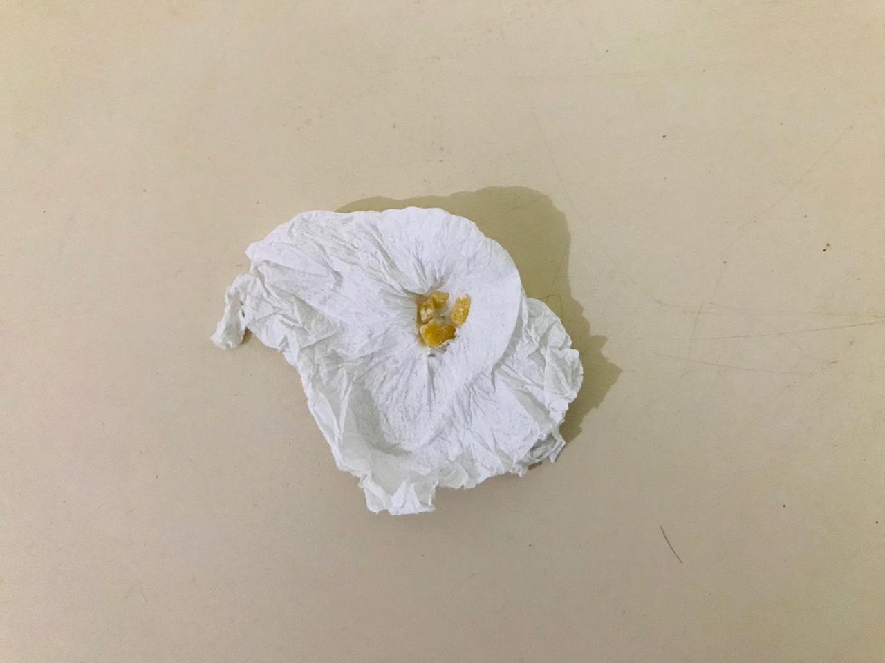 Idoso que estava com drogas perto de escola é detido pela PM Idoso que estava com drogas perto de escola é detido pela PM
