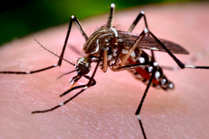 Saúde de Três Lagoas notifica 24 novos casos suspeitos de Dengue nesta semana