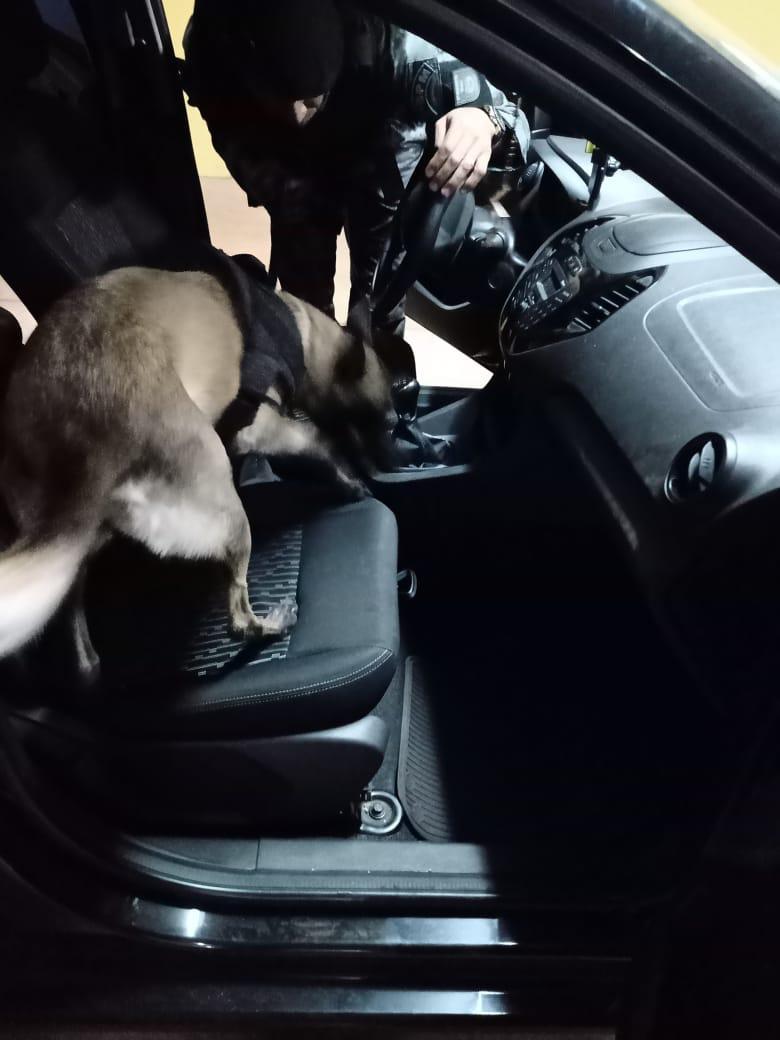 Canil da PM presta apoio aos agentes da Polícia Rodoviária Federal Canil da PM presta apoio aos agentes da Polícia Rodoviária Federal