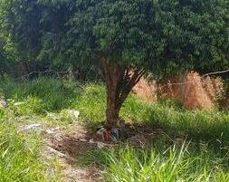 Preso, rapaz diz que matou homem a facadas após desentendimento por sexo Preso, rapaz diz que matou homem a facadas após desentendimento por sexo
