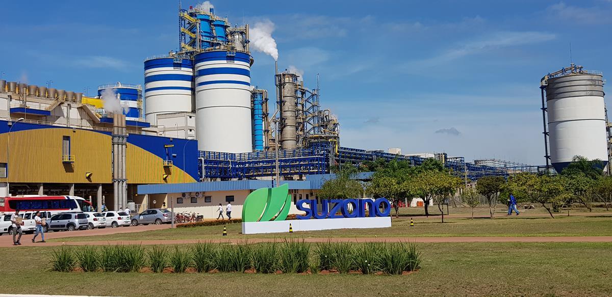Suzano abre inscrições para processos seletivos em Três Lagoas e Brasilândia