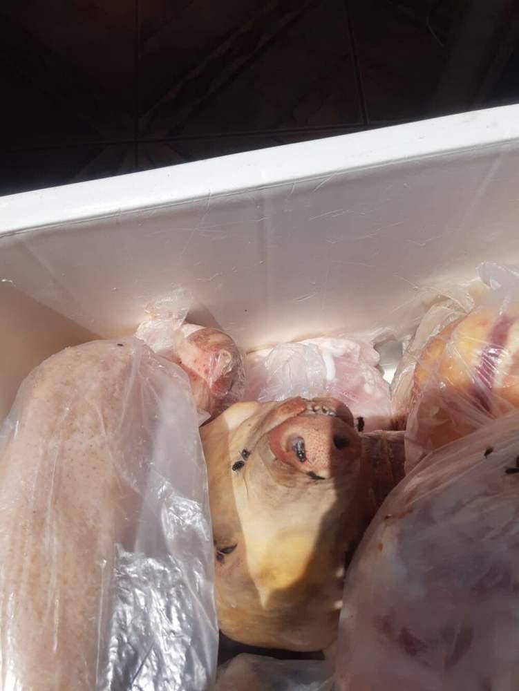 Em Ribas, dono de açougue é preso por vender carne imprópria para consumo humano