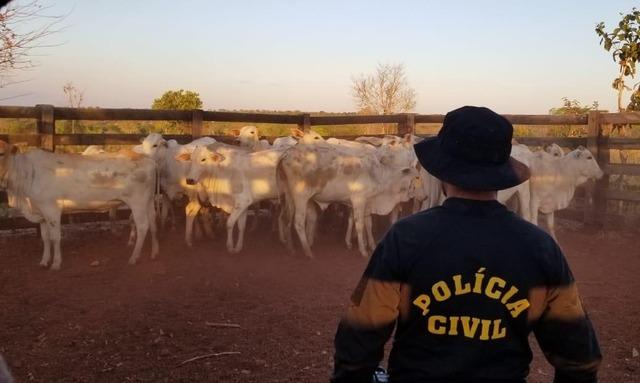 Fazendeiro de Três Lagoas é preso por receptação animal e abigeato