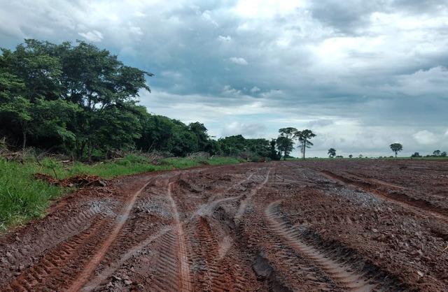 Desmatamento ilegal gera multa de mais de R$ 30 mil a fazendeira de Três Lagoas Desmatamento ilegal gera multa de mais de R$ 30 mil a fazendeira de Três Lagoas