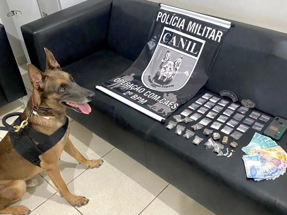 De maconha, crack e até drogas sintéticas: Ex-entregador de lanches é preso e revela que atuava no sistema “Disk Drogas” 