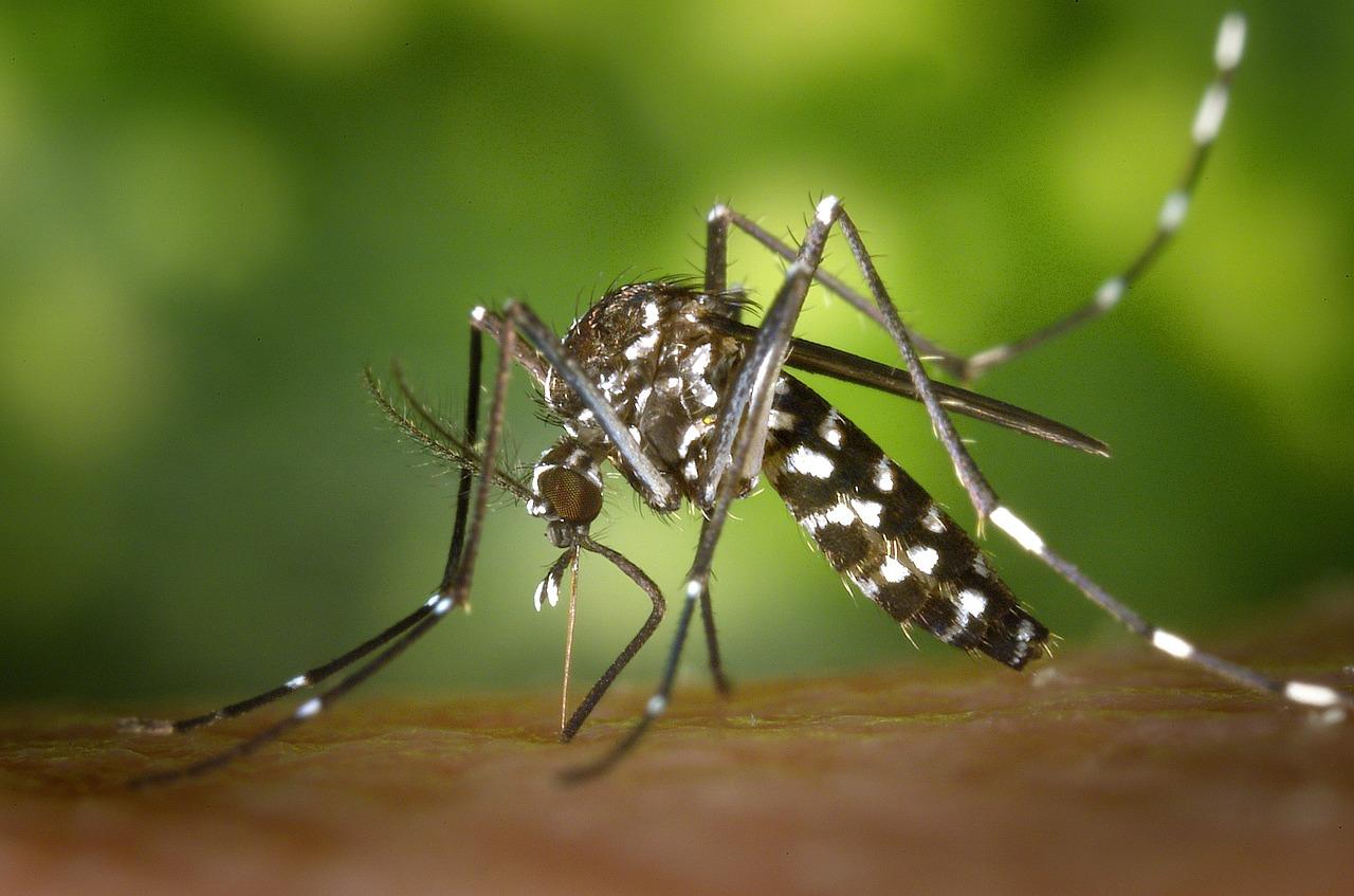 Somente nesta quarta-feira, saúde registra 122 novos casos como suspeitos de Dengue 