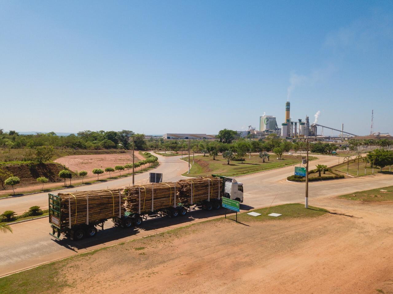Eldorado Brasil abre vagas para motorista tritrem em Três Lagoas
