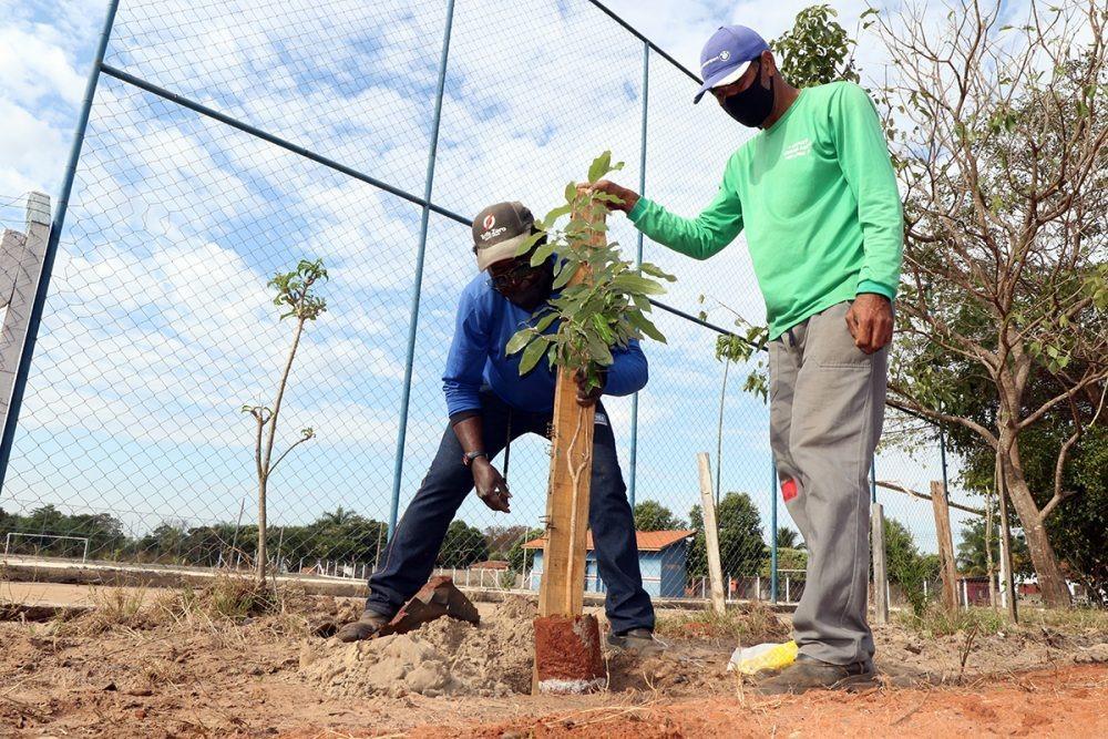 Meio Ambiente realiza plantio de árvores no Campo de futebol do Alto da Boa Vista