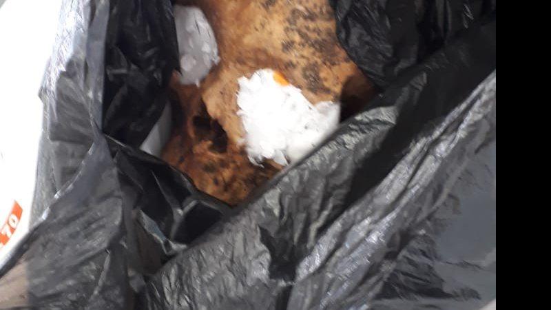 POLÍCIA Boliviano que saiu de Campo Grande é preso em ônibus em SP com crânio humano em bagagem POLÍCIA Boliviano que saiu de Campo Grande é preso em ônibus em SP com crânio humano em bagagem