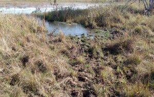 Polícia Militar Ambiental de Três Lagoas é acionada por empresa que teve propriedade invadida